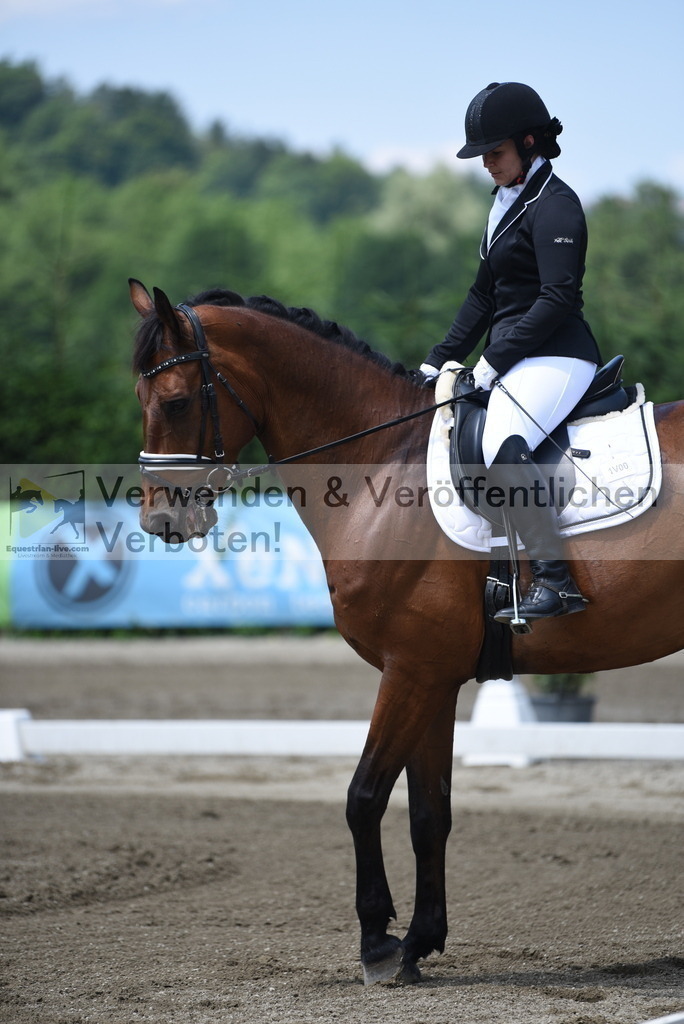 DSC_9934 | equestrian-live-com