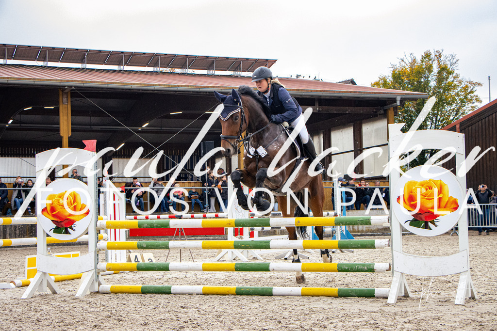 IMG_4255 | Erleben Sie dynamische Sport- und emotionale Tierfotografie in Süddeutschland mit Fotos von Paula. Spezialisiert auf Pferde- und Hundefotografie sowie Sportevents. Kontaktieren Sie mich für einzigartige und ausdrucksstarke Bilder Ihrer besonderen Momente. - Realisiert mit Pictrs.com