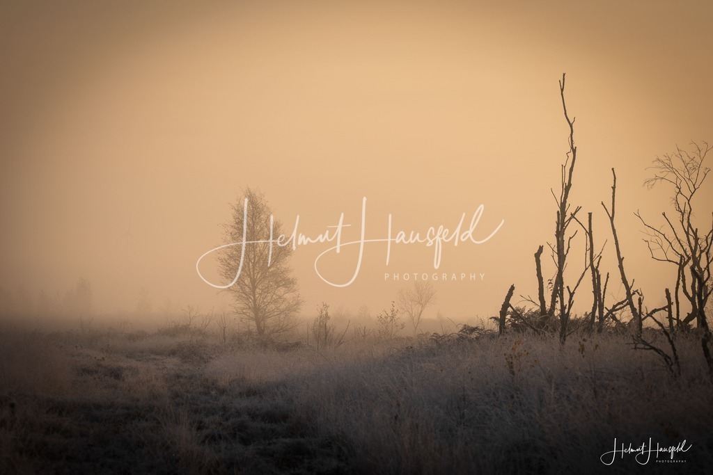 DSC00550 | Landschaftsfotografie, Naturfotografie - Realisiert mit Pictrs.com