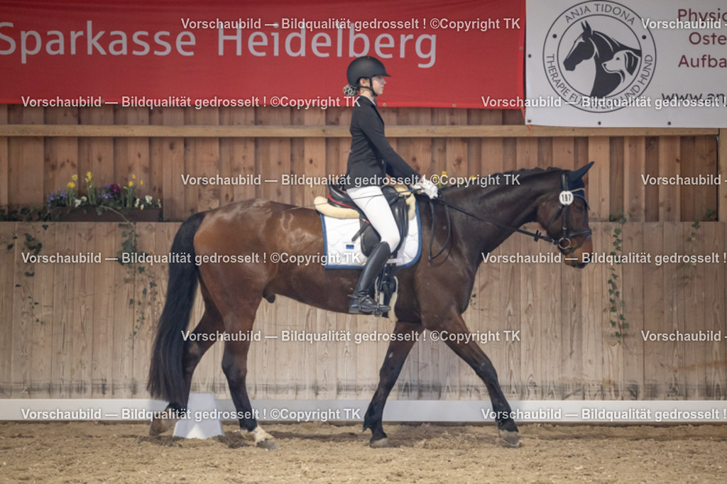 _D5A2214 | Emotionale Pferde- & People-Fotografie rund um Heidelberg, Leimen & Umgebung. Natürliche Fotos von Pferd, Mensch & Familie. Jetzt Termin sichern!