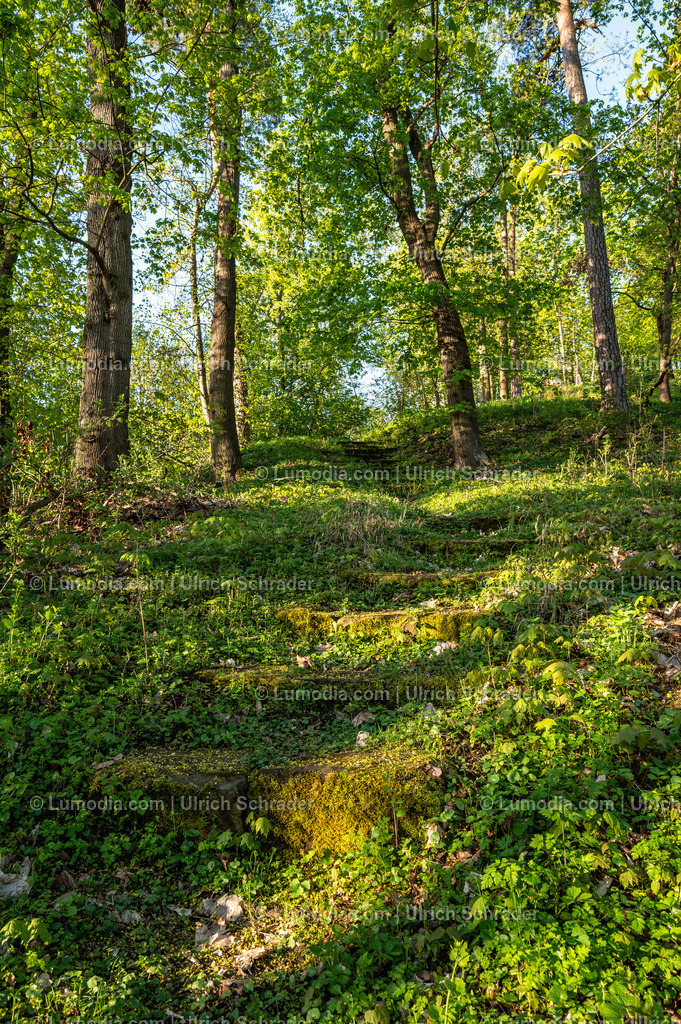 10049-14010 - In den Spiegelsbergen - Halberstadt | Stockfoto und Bilderpool mit Bildmaterial aus Deutschland, dem Harz, Halberstadt, Quedlinburg, Wernigerode und weltweit. Qualitativ hochwertige und professionelle Fotos anschauen und kaufen. - Realizado com Pictrs.com