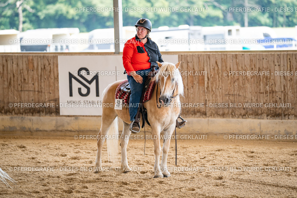 DSC01568 | Pferdegrafie