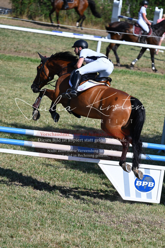 DSC_1929 | Pferde- und Turnierfotografie in Westsachsen. Pferdeportraits, Auftragszeichnungen und intuitive Kunst.