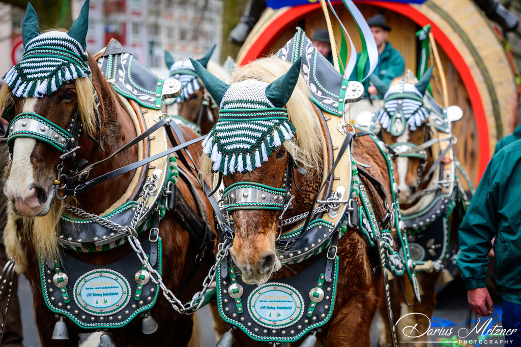 Die Mainzer Fastnacht | Die Mainzer Fastnacht