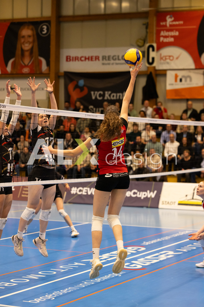 Volleyball I Frauen I Saison 2025-2026 I CEV Volleyball Challenge Cup 2026 | Women I 16th Finals I VC Kanti Schaffhausen - TJ Ostrava I 03.12.2025 | VC Kanti Schaffhausen - 14 Josipa Marković (HR) – Aussen - Realisiert mit Pictrs.com