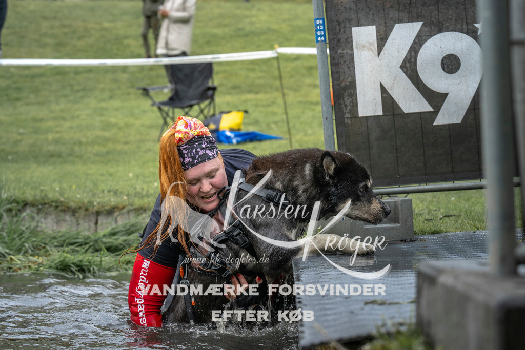 1538_ZZ95913 | kk-dogfotos