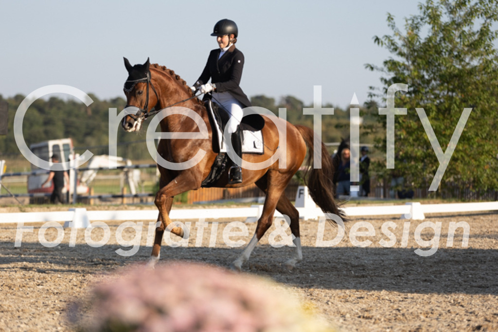 IMG_1334 | Creatify Fotografie