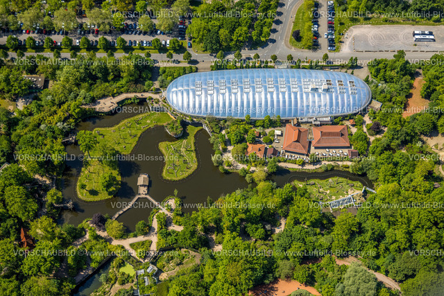 Gelsenkirchen230511329 | Luftbild, ZOOM Erlebniswelt Zoo, Eventhalle, Bismarck, Gelsenkirchen, Ruhrgebiet, Nordrhein-Westfalen, Deutschland
