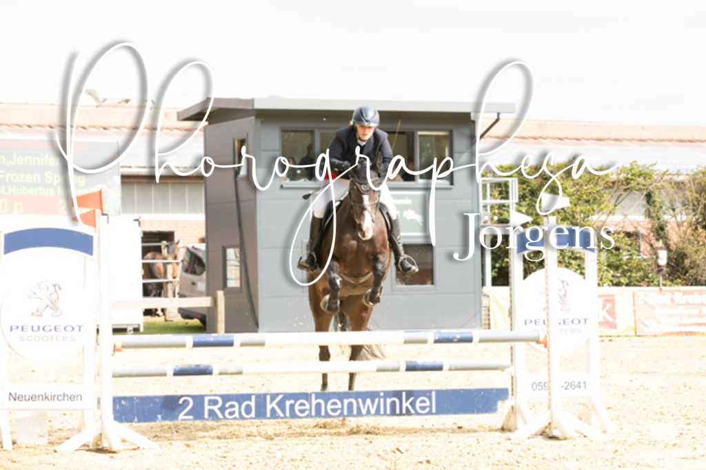 IMG_6614 | photographesa-joergens - Realisiert mit Pictrs.com