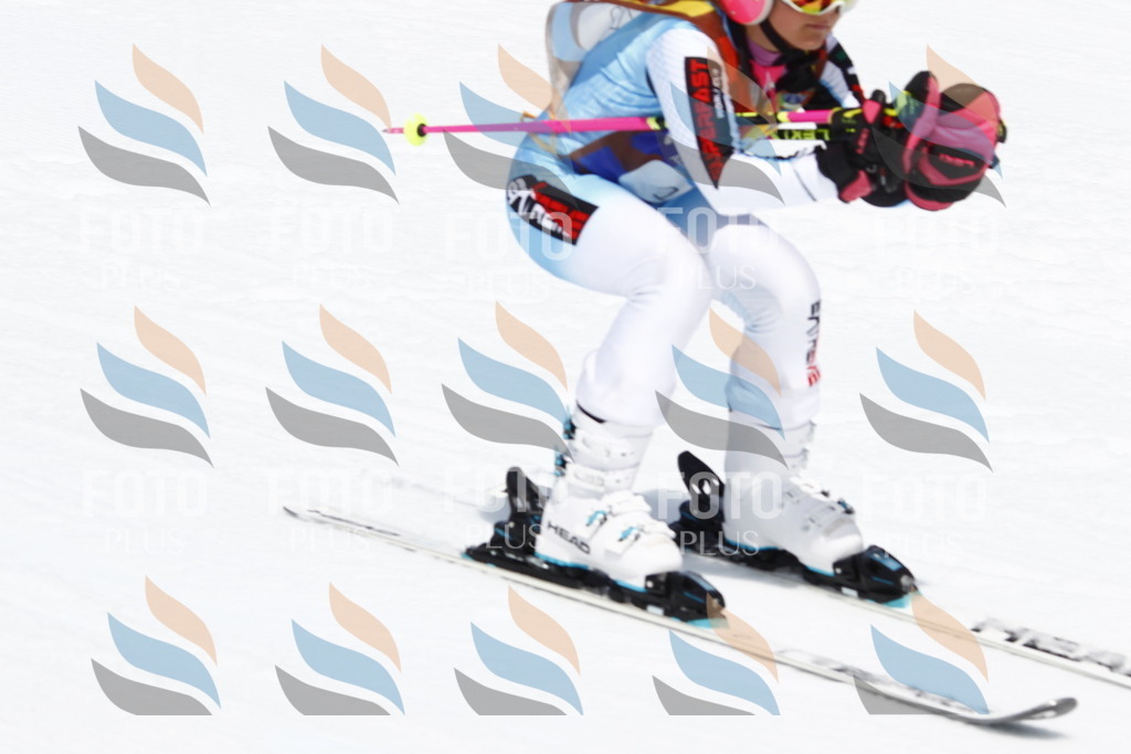 _U3G7877 | holidayphoto