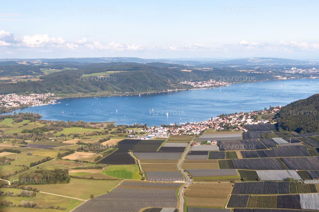 Luftbild: Uferbereich des Bodensee im Ortsteil Bodman in Bodman-Ludwigshafen im Bundesland Baden-Württemberg in Deutschland. Foto: IMG_71558.jpg vom 30.08.2014 durch Werner Riehm/FLY-FOTO.de