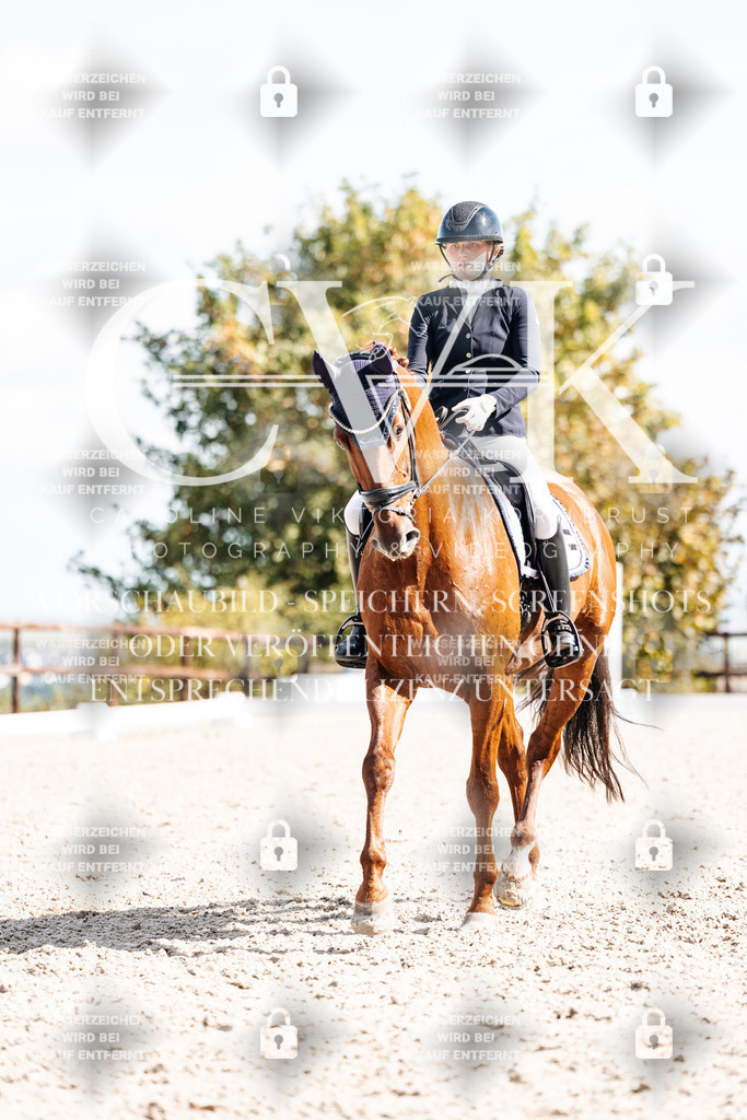 CK902598 | Turnierfotografie Pferdefotografie Trier Rheinland-Pfalz Pferdesport Reitsport Tierfotografie Sportfotografie Pferdevideo Pferdevideografie Equestrianvideography equestrianphotography  - Realisiert mit Pictrs.com