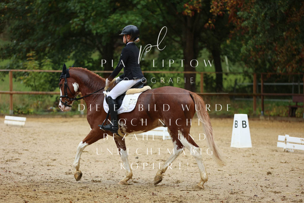 IMGM9206 | pl-fotografie