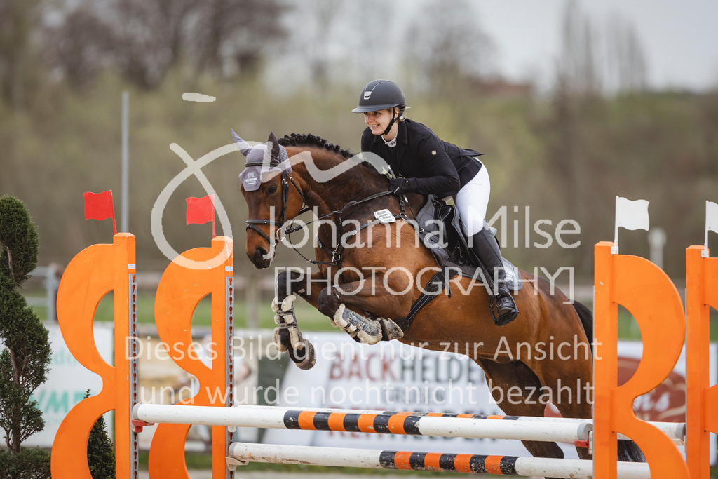 240330_Fruehlingsfest_Stil-A2-2-711 | Deine schönsten Turniermomente als professionelle Fotos! Entdecke hochwertige Pferdesport-Fotografie im Online-Shop. Jetzt Fotos finden & bestellen!