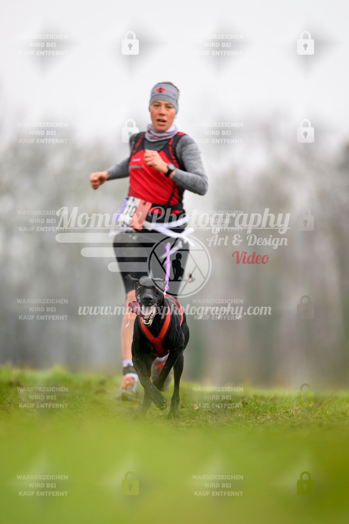 MompixPhotography_CDF2023_FFST_Di_Canicross-58 | PayLife
