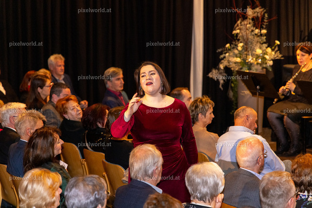 Neujahrskonzert | Bildershop von pixelworld.at - Realisiert mit Pictrs.com