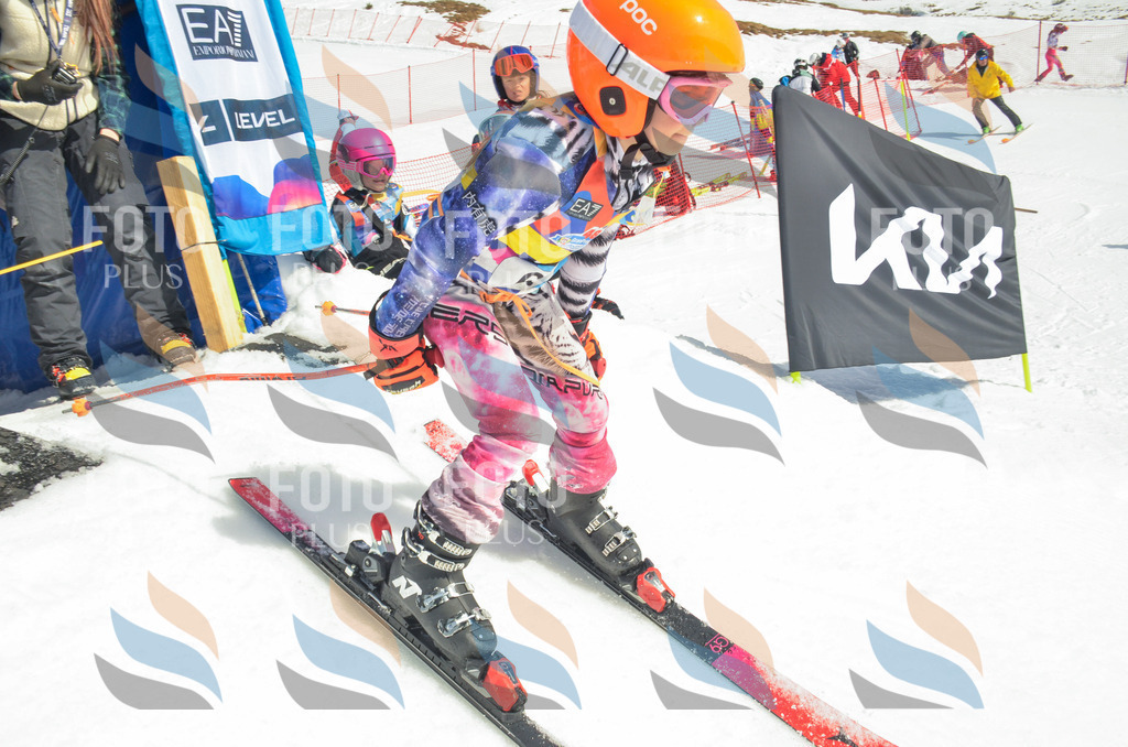 _ELE5315 | holidayphoto