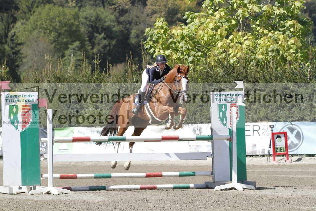 _MG_6196 | equestrian-live-com