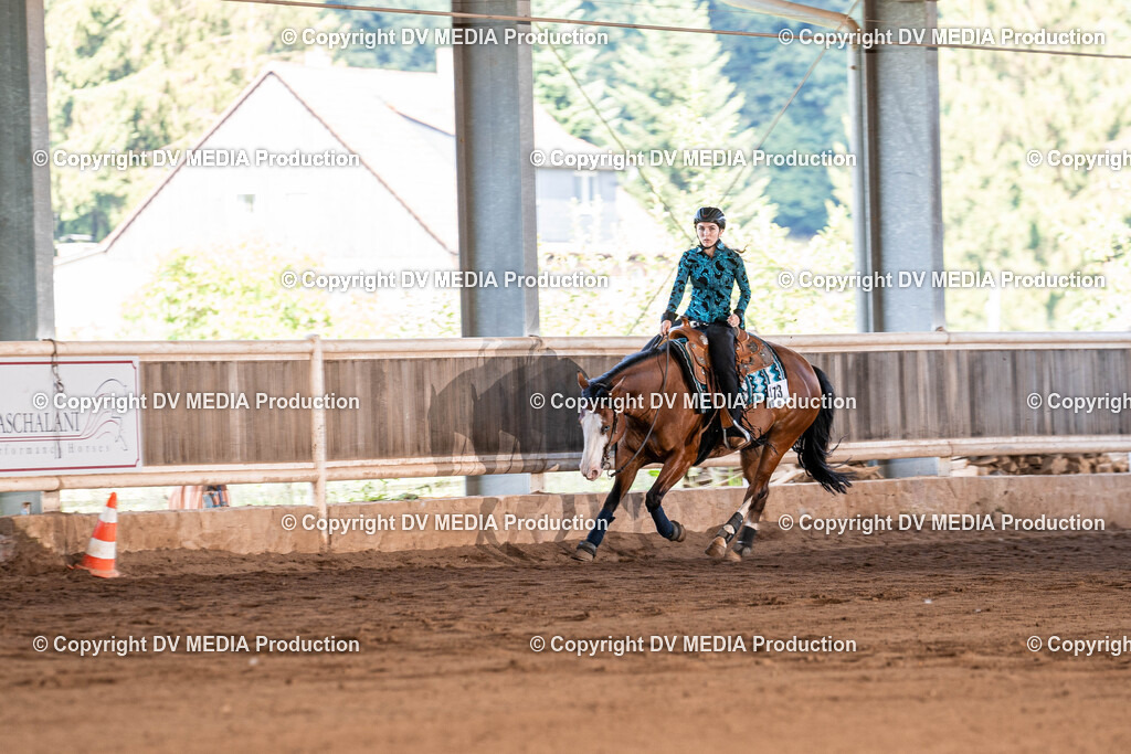 Erbach Tag 2-921 | dv-media-shop - Realisiert mit Pictrs.com