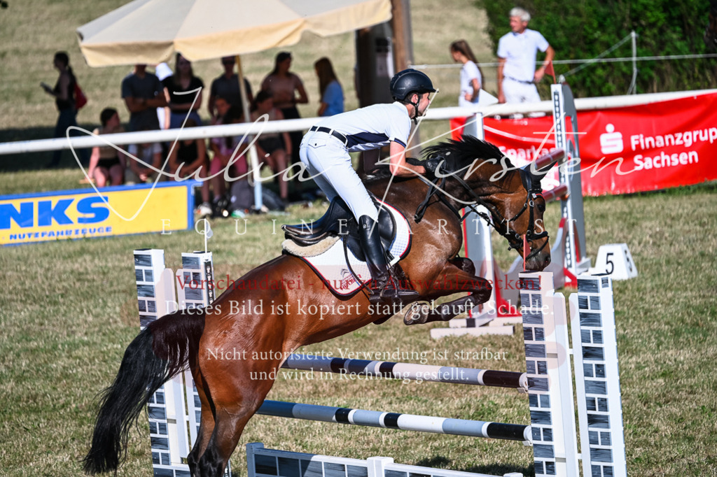 DSC_2522 | Pferde- und Turnierfotografie in Westsachsen. Pferdeportraits, Auftragszeichnungen und intuitive Kunst.
