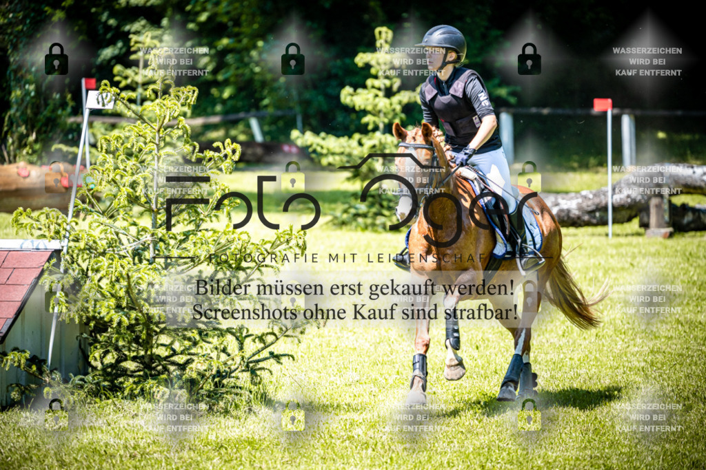 2026-05 - Melle Oldendorf-1-0055 | Entdecke hochwertige Reitturnierfotos von Foto Oger. Professionell, emotional und authentisch – jetzt Lieblingsmomente im Shop bestellen.Deutschlandweite Turnierfotografie. - Realisiert mit Pictrs.com