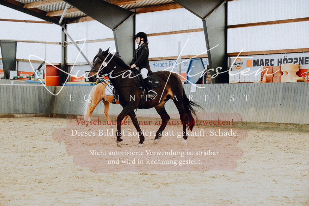 DSC_7250 | Pferde- und Turnierfotografie in Westsachsen. Pferdeportraits, Auftragszeichnungen und intuitive Kunst.