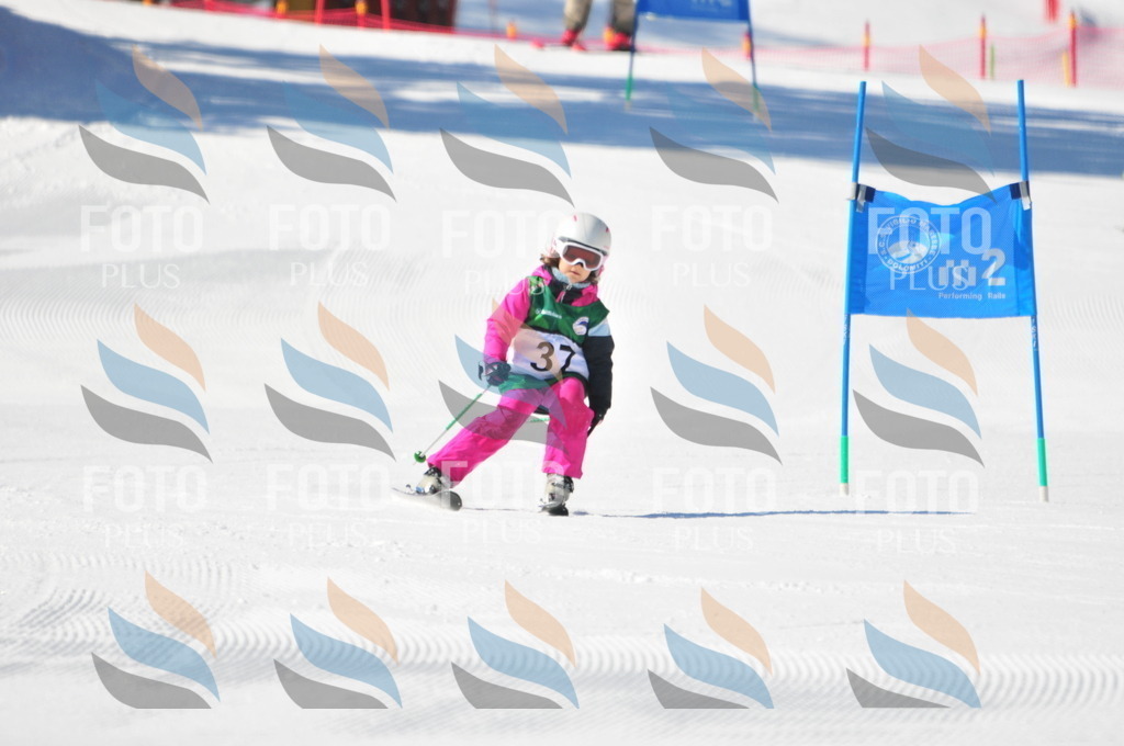 C2693 | holidayphoto