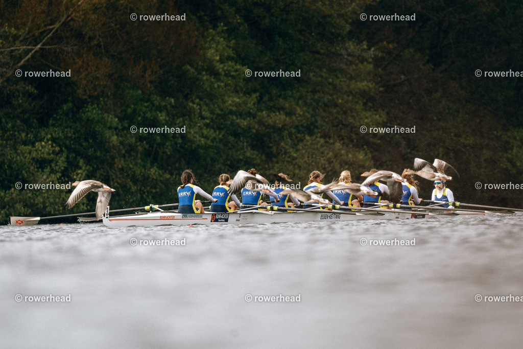 20241006_rowerhead_R019_S0007_DSC07308 | rowerhead - Realisiert mit Pictrs.com
