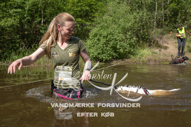 1109DKK992170 | kk-dogfotos