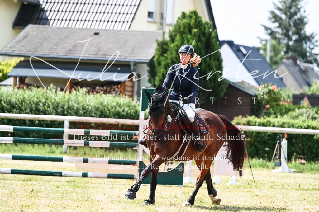 DSC_8860 | Pferde- und Turnierfotografie in Westsachsen. Pferdeportraits, Auftragszeichnungen und intuitive Kunst.