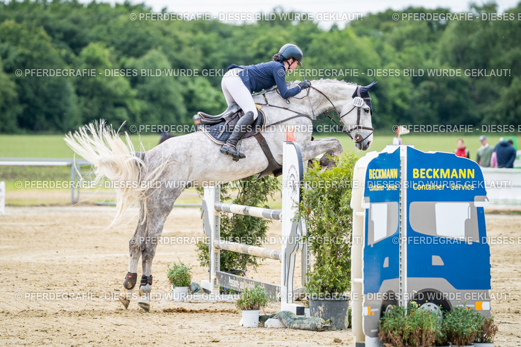 DSC05268 | Pferdegrafie