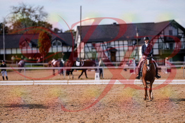 2026_10_03_Siefer-Hof_133309_Z81_91061247 | Professionelle Reitsport-, Turnier- und Eventfotografie von Robert Broda. Galerien mit ausgewählten und bearbeiteten Bildern direkt online ansehen und bestellen.