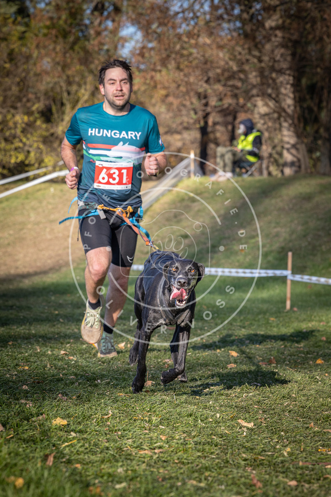 CaniXpix_0L8A8935 | Hundefotografie, Tierfotograf, Pfotenfotografie, Fotoshooting Hund, Hunde Portrait, Hundesport, Hundeportraits, Heideshooting, Hunde, Sportfotograf, Hundefotograf, Turnierhundsport, THS,  - Realisiert mit Pictrs.com