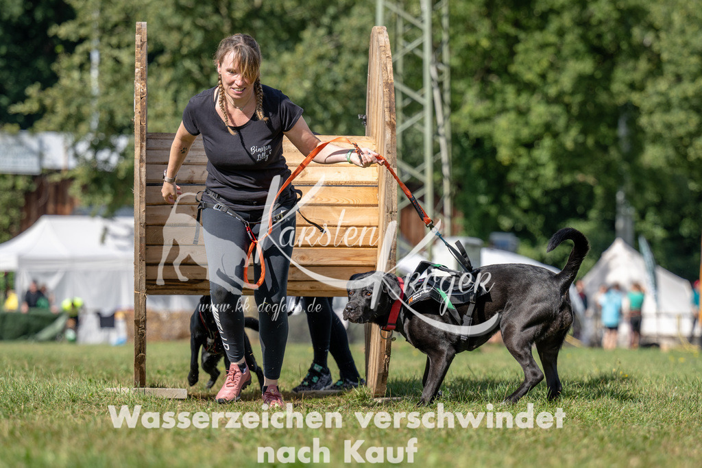 1131_ZZ90550 | kk-dogfotos