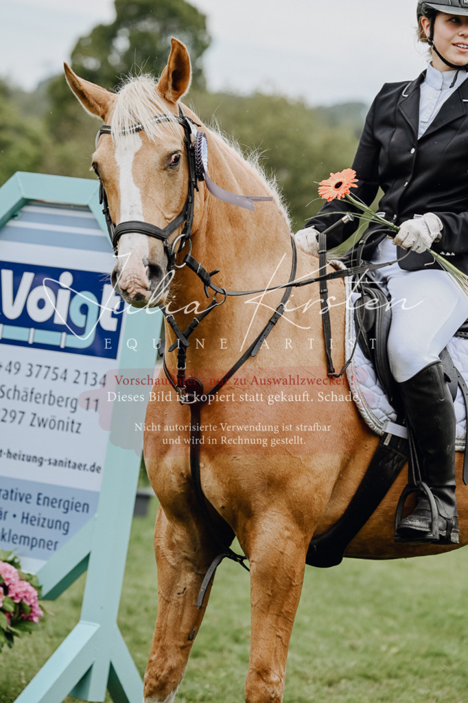 DSC_7110 | Pferde- und Turnierfotografie in Westsachsen. Pferdeportraits, Auftragszeichnungen und intuitive Kunst.