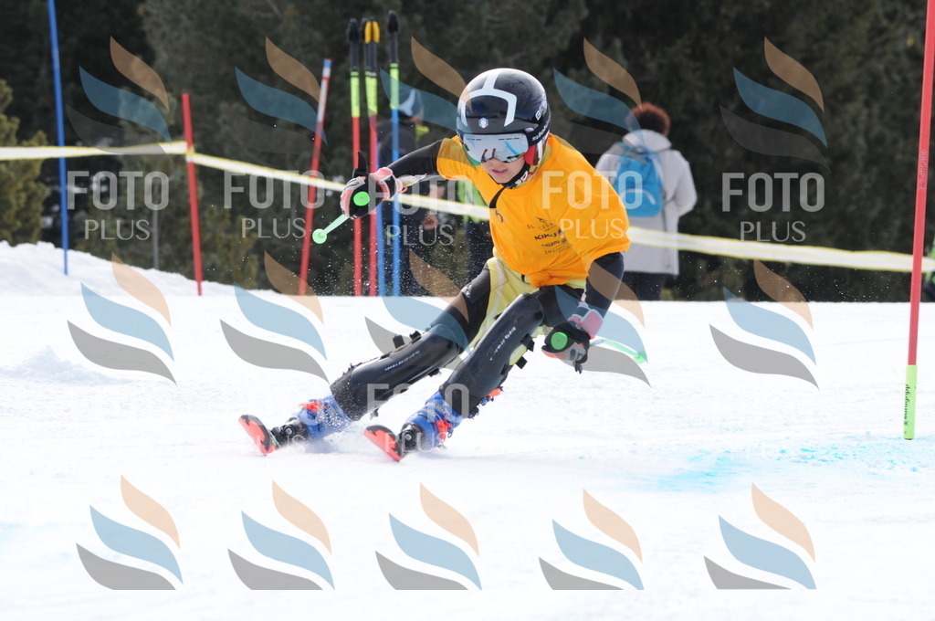 C7593 | holidayphoto