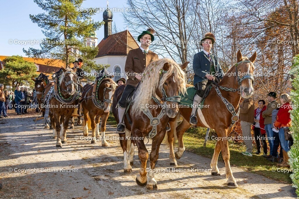 LBT25-1377 | foto-bettina-krinner - Realisiert mit Pictrs.com