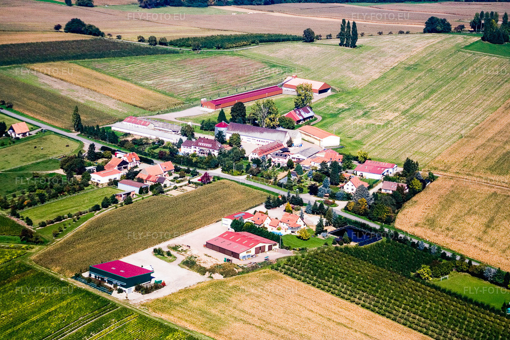 Vue aérienne: District de Schafbusch à Steinseltz dans le département Bas Rhin, France – .Photo: IMG_13604.jpg prise le 28/09/2008 par Werner Riehm/FLY-FOTO.eu – Résolution de l'original: 3456 x 2304 px