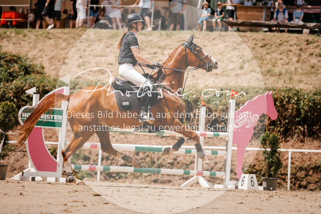 3I6A7938 | Stimmungsvolle Portraits und Reitsportfotografie im Ruhrgebiet und im Münsterland.

Pferdefotografie, Hundefotografie, Tierfotografie, Reportagen, Portraits von Tier und Mensch, Turnierfotografie in Bochum, Recklinghausen, Marl, Haltern am See, Dülmen.. - Realisiert mit Pictrs.com