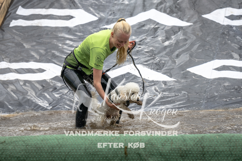 1526_ZZ93431 | kk-dogfotos