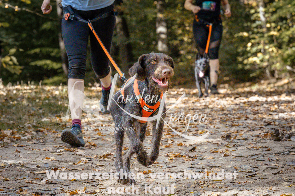 1321_ZZ97953 | kk-dogfotos