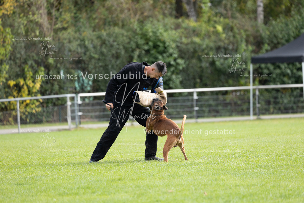 _16A7039 | Einzigartige Fotos von Hunden & Menschen –Actionfotos, Portraits, Vereinsaufnahmen & Paarshootings – authentisch, lebendig & mit Herz.