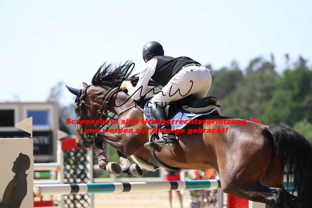 IMG_2788 | lmwpictures - Realisiert mit Pictrs.com