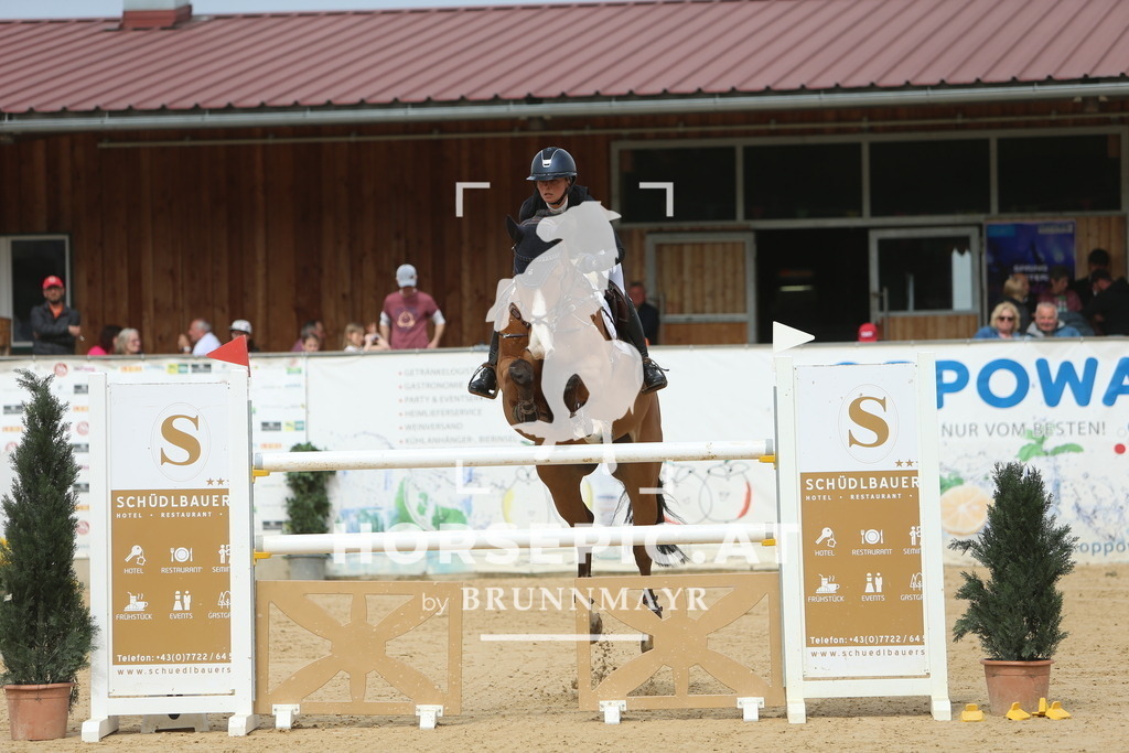 DL2Q2542 | Willkommen bei Brunnmayr - Design & Fotografie – Ihrem Spezialisten für Reitturniere und Pferdeveranstaltungen in Oberösterreich, Salzburg und Bayern! Seit über 17 Jahren sind wir leidenschaftlich dabei.