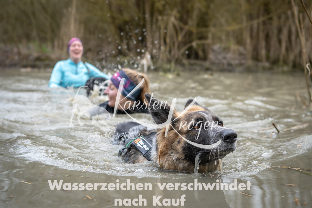 1433_ZZ99643 | kk-dogfotos