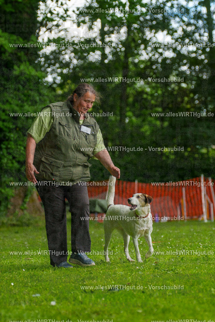 @allesWIRTHgut_Tierfotografie - www.allesWIRTHgut.de - 122949-7R509011 | Professionelle Tierfotografie in Mönchengladbach von Daniel Wirth (allesWIRTHgut). Liebevolle & natürliche Bilder von Hunden & Katzen für unvergessliche Erinnerungen.