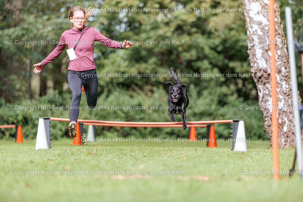 THS-HSV-Blumenthal-2026-Nickbest-Hundefotografie-2562 | Dein Hund! Dein Moment! Deine Erinnerungen! Hundefotografie in Bremen Blumenthal. Ich fange die besonderen Momente deines Vierbeiners ein – ob Indoor mit Blitzanlage oder in der freien Natur. Sicher dir dein Moment und dein Termin für eure Erinnerungen.