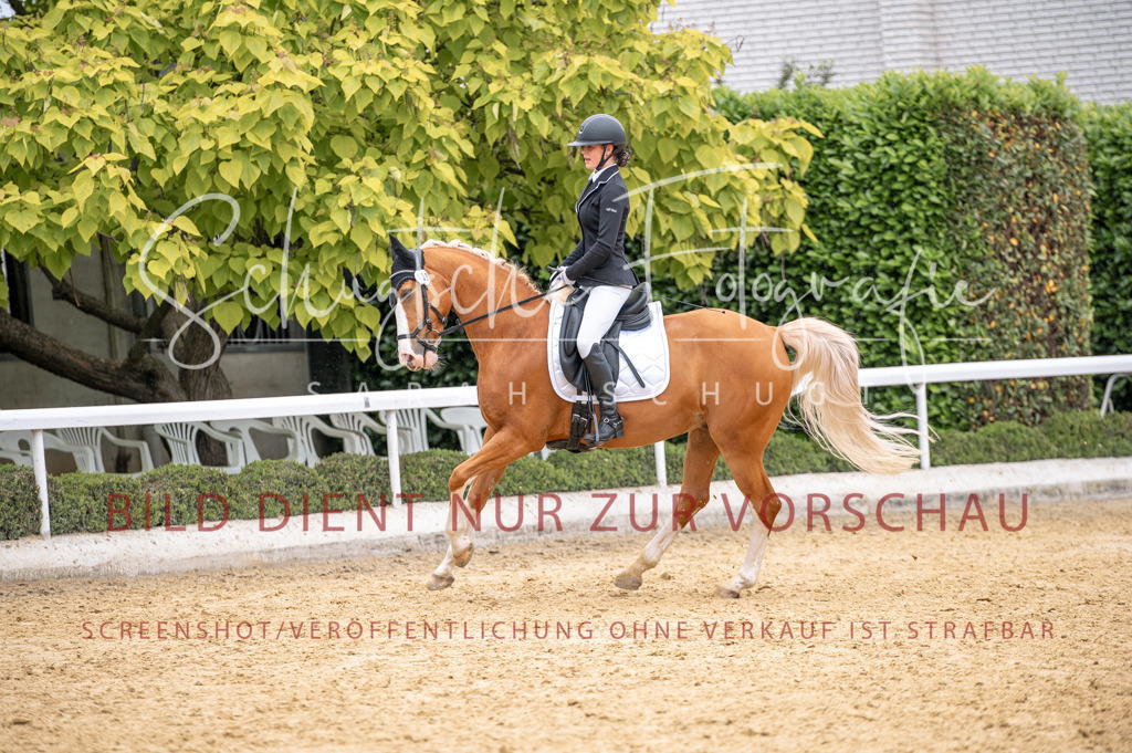 Schugtsche-Aluta25-41.Amat-Dressurprf.A_-391 | Schugtsche Fotografie - Realized with Pictrs.com