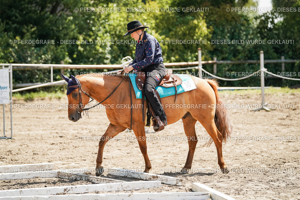 DSC06758 | Pferdegrafie