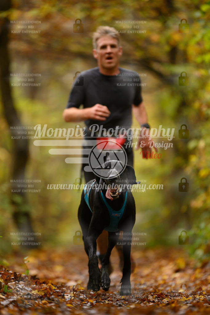 MompixPhotography_CD7S_DI_CCL-35 | mompixphotography